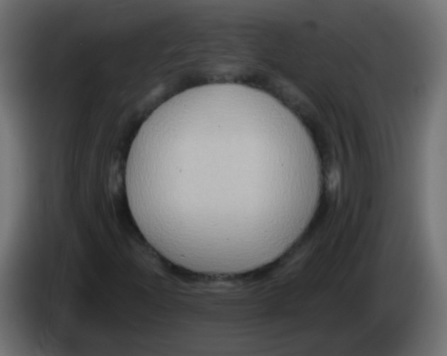 X0000083041204200703022041