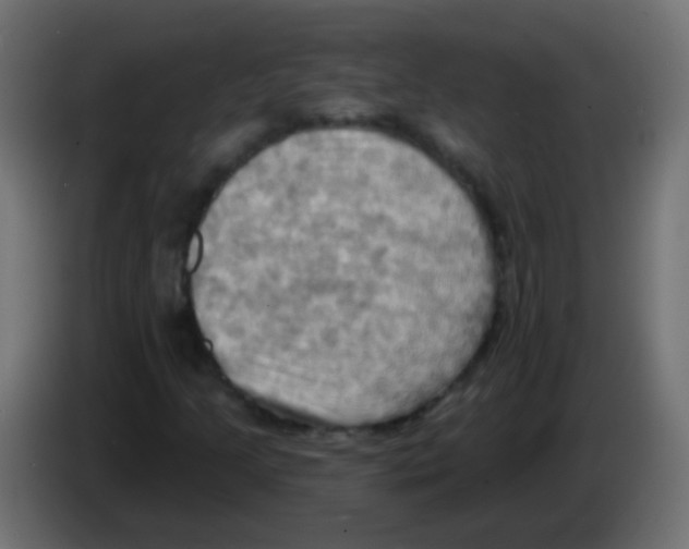 X0000083041205200703022041