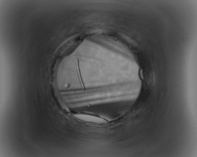 X0000083041206200703022041