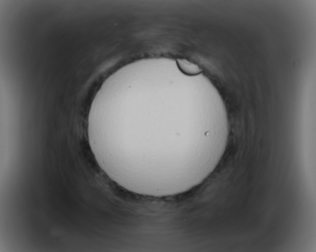 X0000083041207200703022041