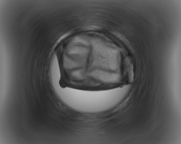 X0000083041210200703022041