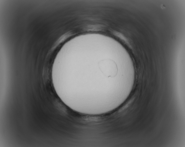 X0000083041211200703022041