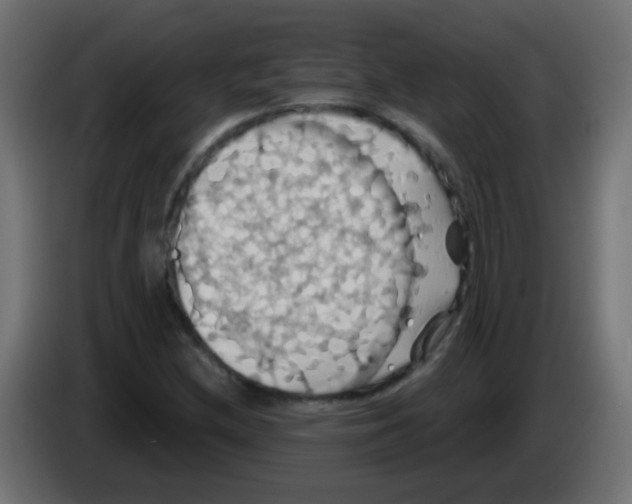 X0000083041212200703022041