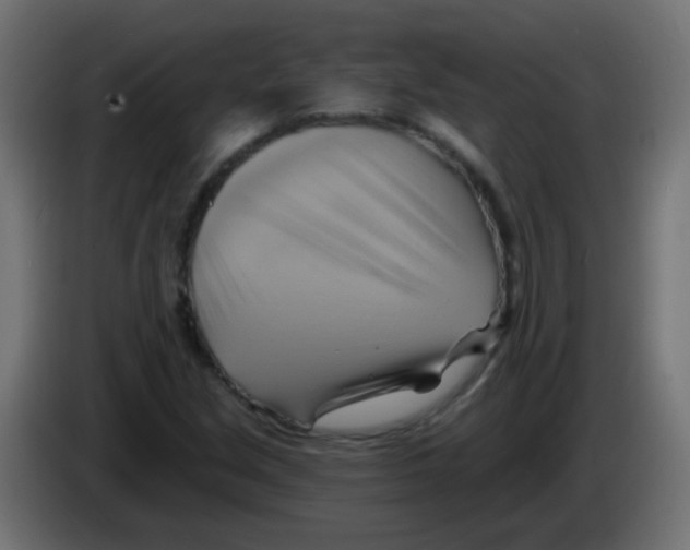 X0000083041213200703022041