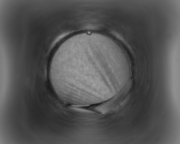 X0000083041214200703022041