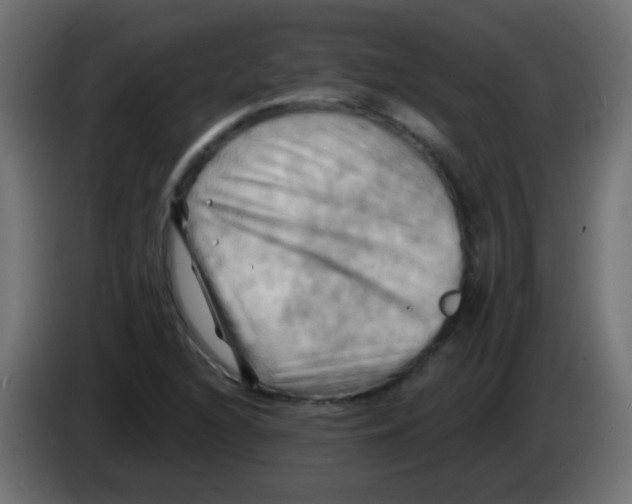 X0000083041216200703022041