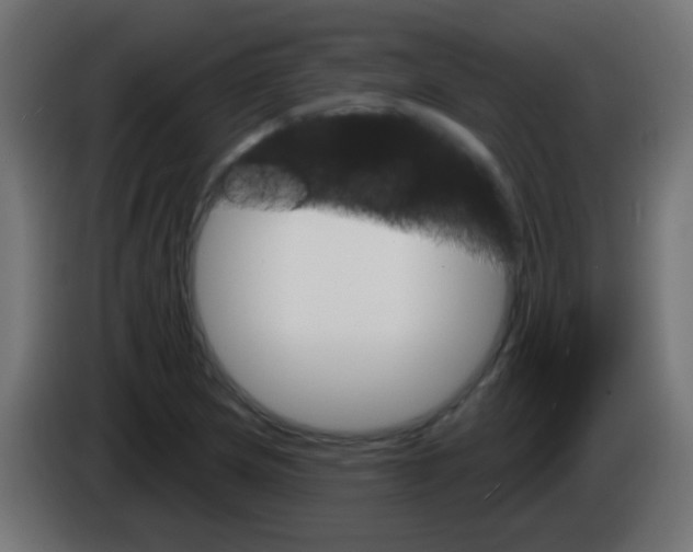 X0000083041217200703022041