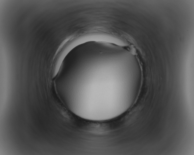 X0000083041218200703022041