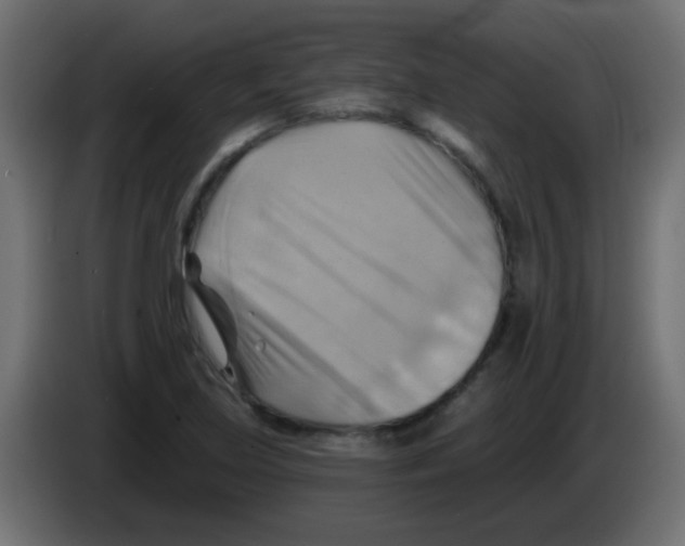 X0000083041219200703022041