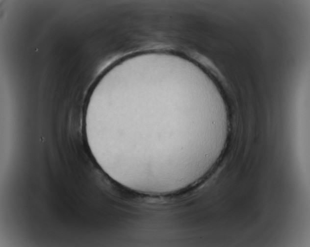 X0000083041220200703022041
