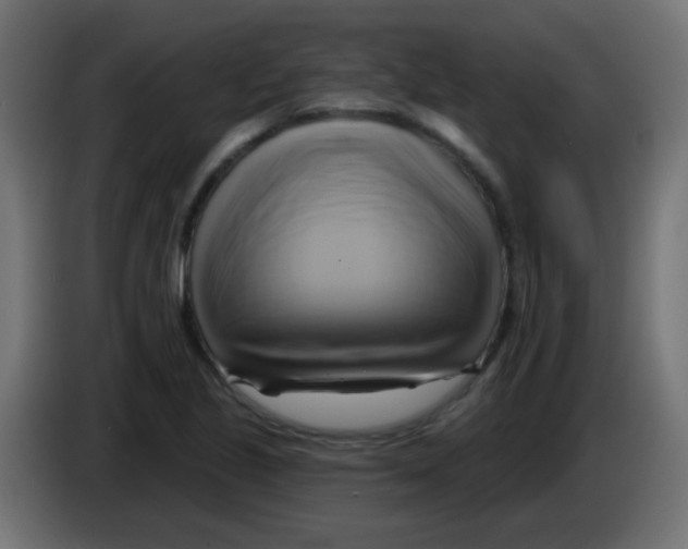 X0000083041221200703022041
