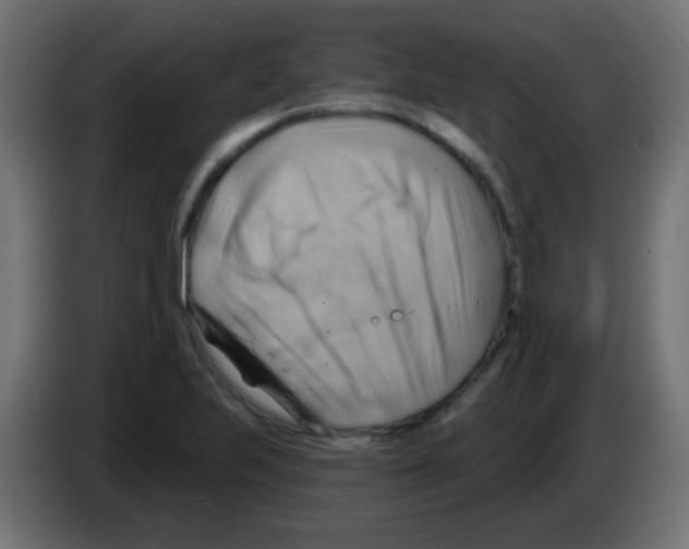 X0000083041223200703022041
