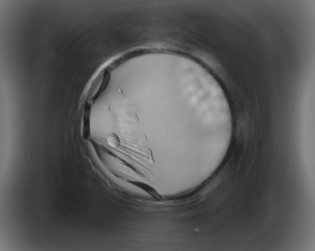 X0000083041224200703022041
