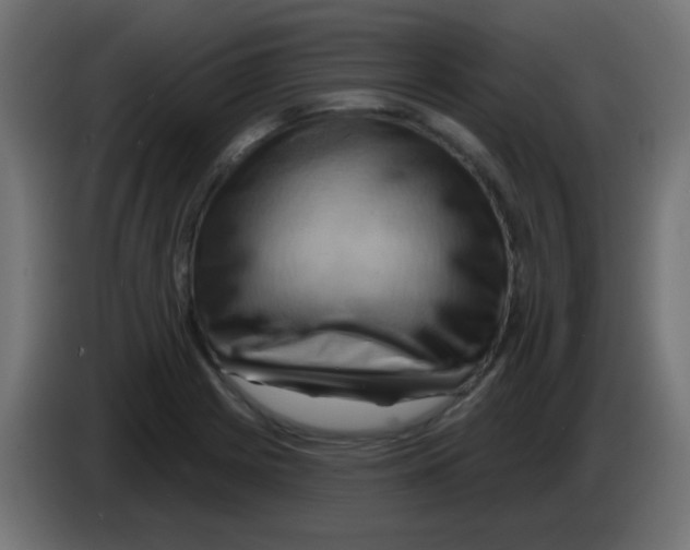 X0000083041225200703022041