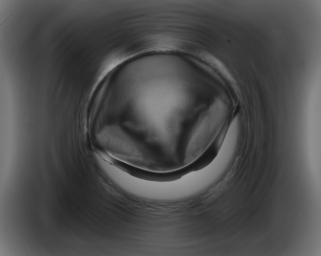 X0000083041226200703022041