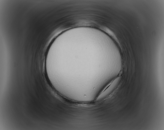 X0000083041227200703022041