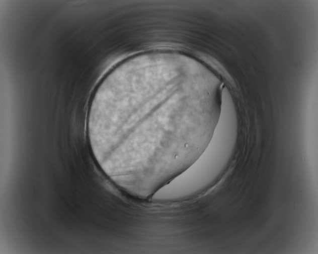 X0000083041228200703022041