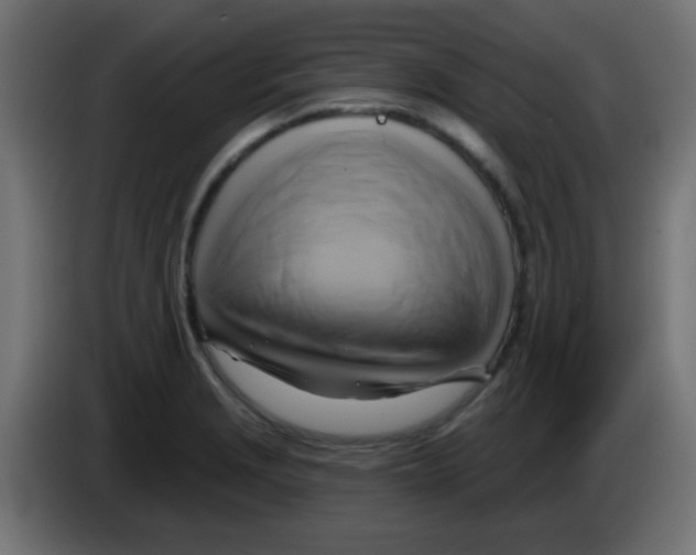 X0000083041229200703022041