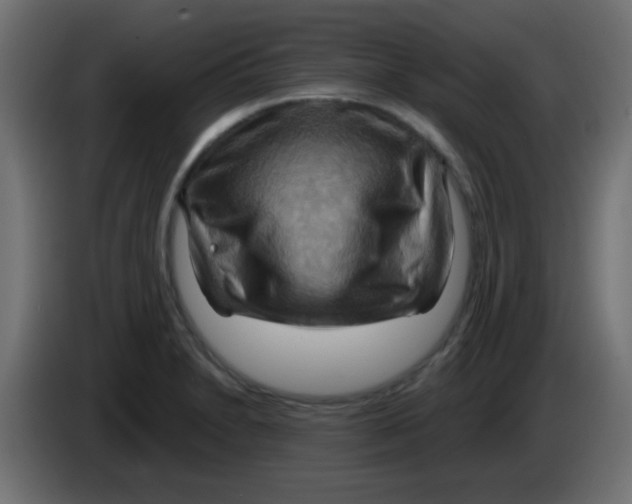 X0000083041230200703022041