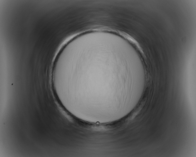 X0000083041231200703022041