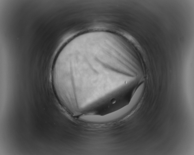 X0000083041232200703022041