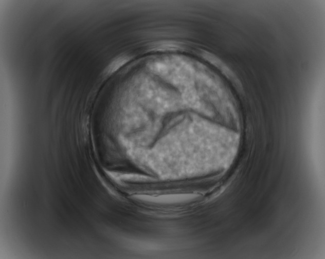 X0000083041233200703022041