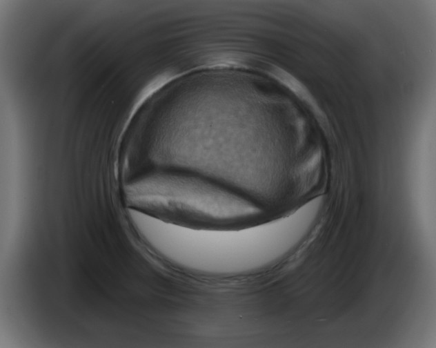 X0000083041234200703022041