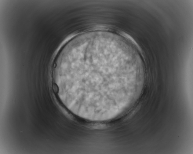 X0000083041235200703022041