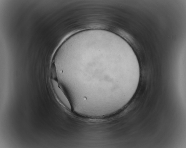 X0000083041236200703022041