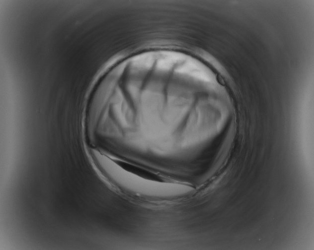 X0000083041237200703022041