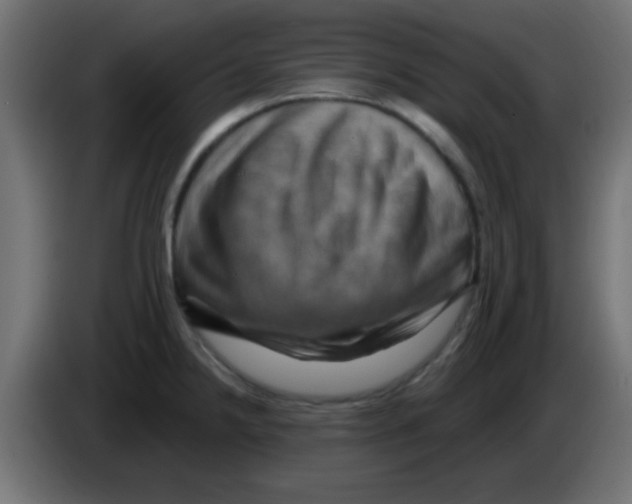 X0000083041238200703022041