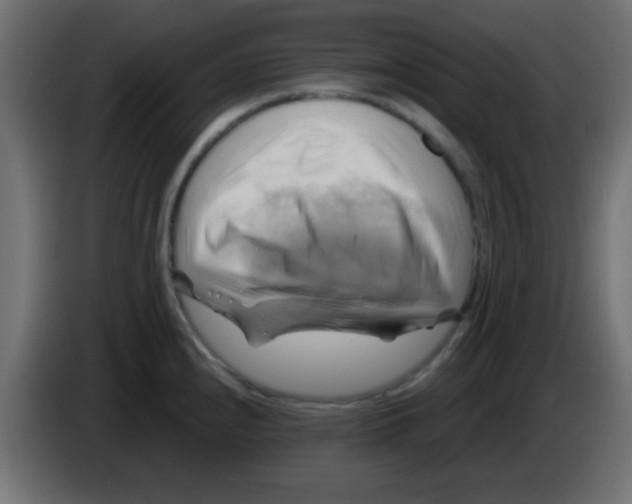 X0000083041240200703022041