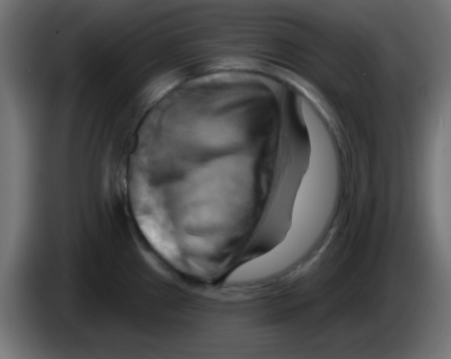 X0000083041241200703022041