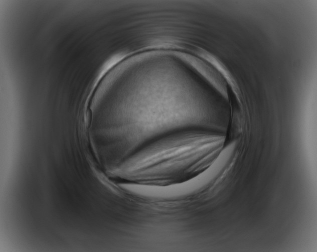 X0000083041242200703022041