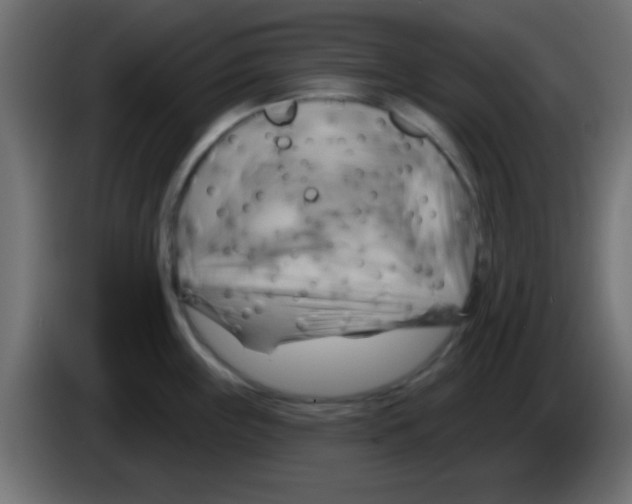 X0000083041243200703022041