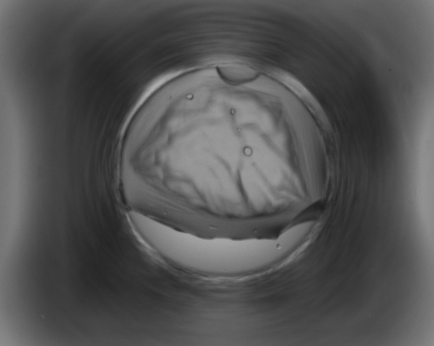 X0000083041244200703022041