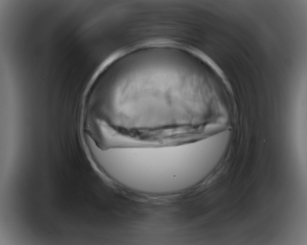 X0000083041245200703022042