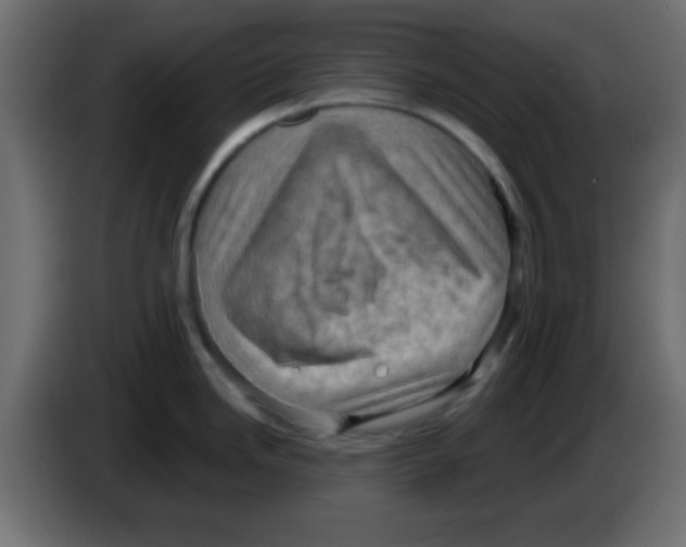 X0000083041246200703022042