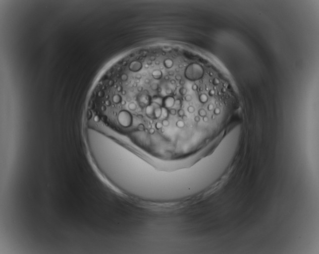 X0000083041247200703022042