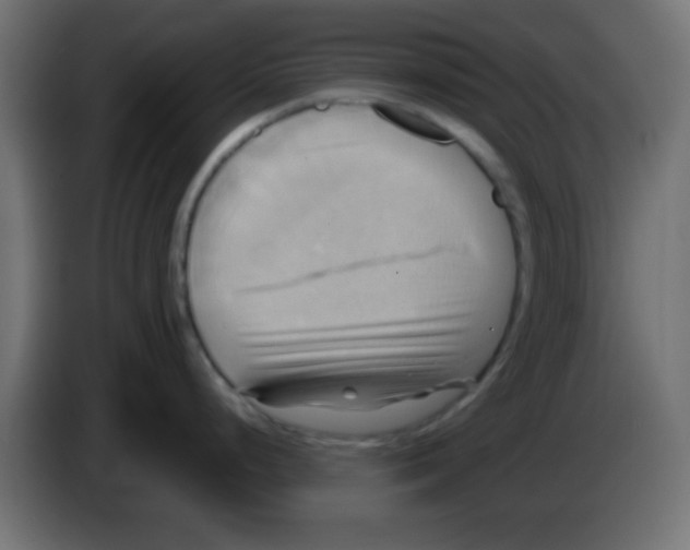 X0000083041248200703022042