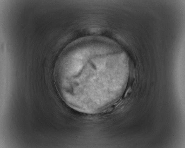 X0000083041249200703022041