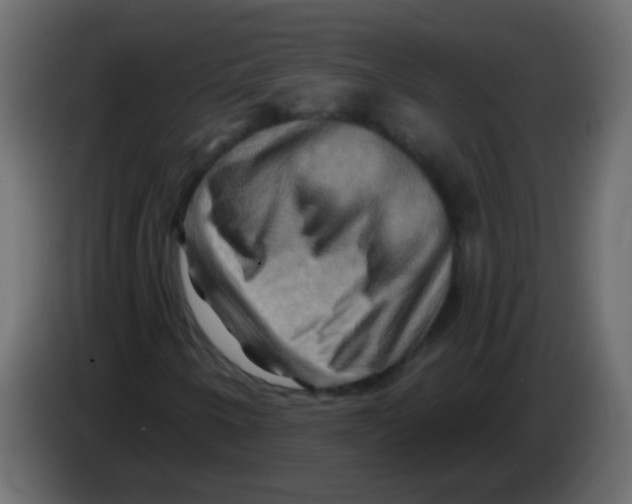 X0000083041250200703022041