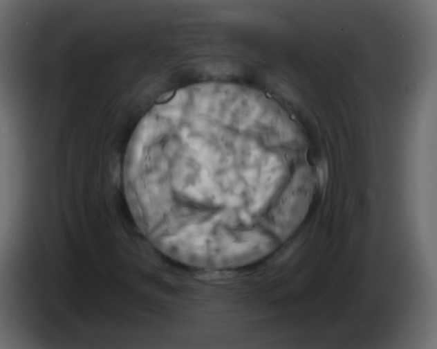 X0000083041251200703022041