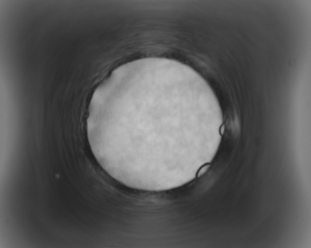 X0000083041252200703022041