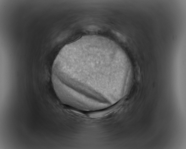 X0000083041253200703022041