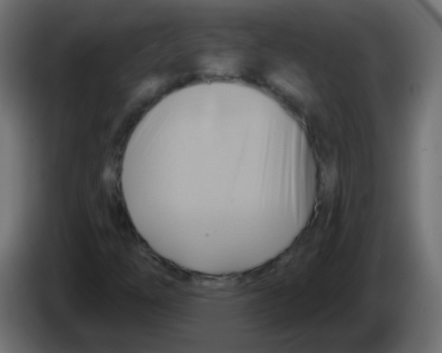 X0000083041254200703022041