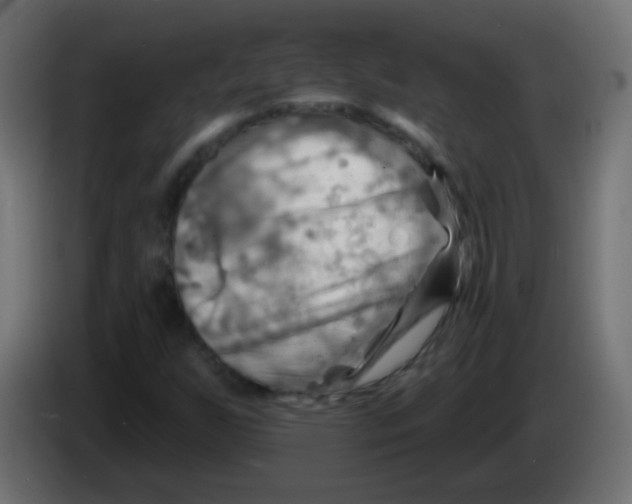 X0000083041255200703022041