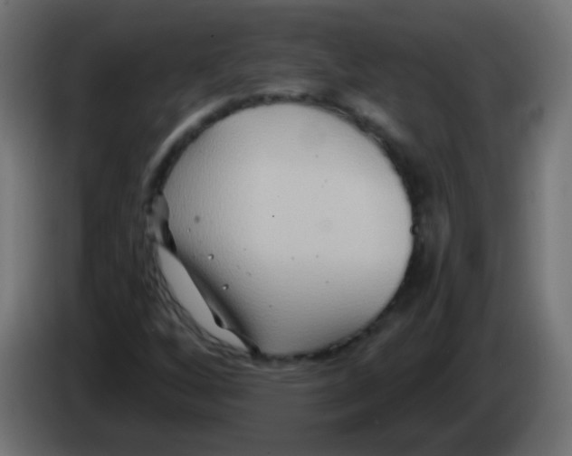 X0000083041256200703022041