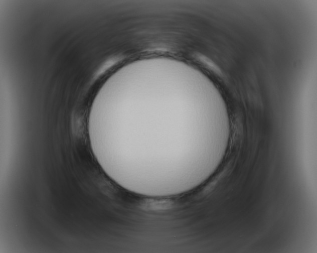 X0000083041258200703022041