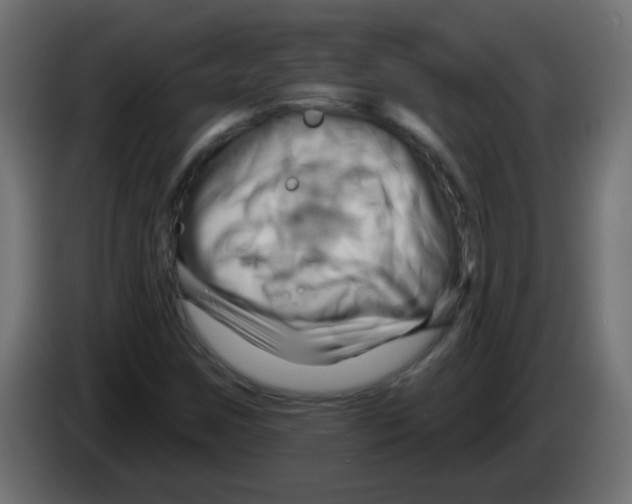 X0000083041259200703022041